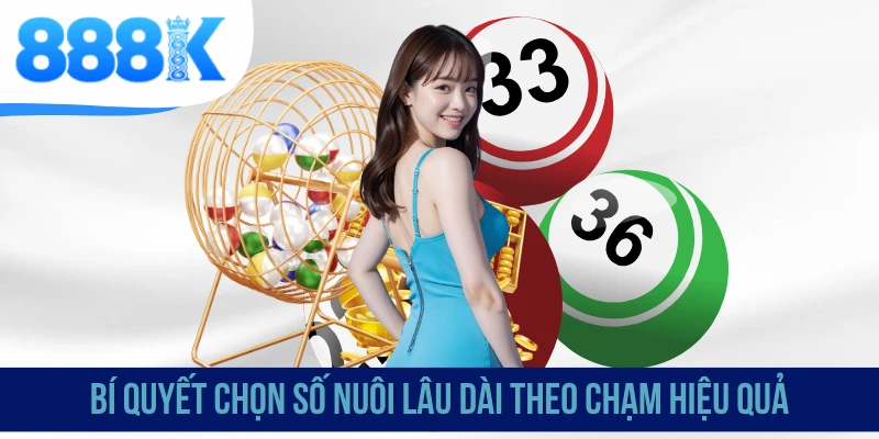 Bí quyết chọn số nuôi lâu dài theo chạm hiệu quả