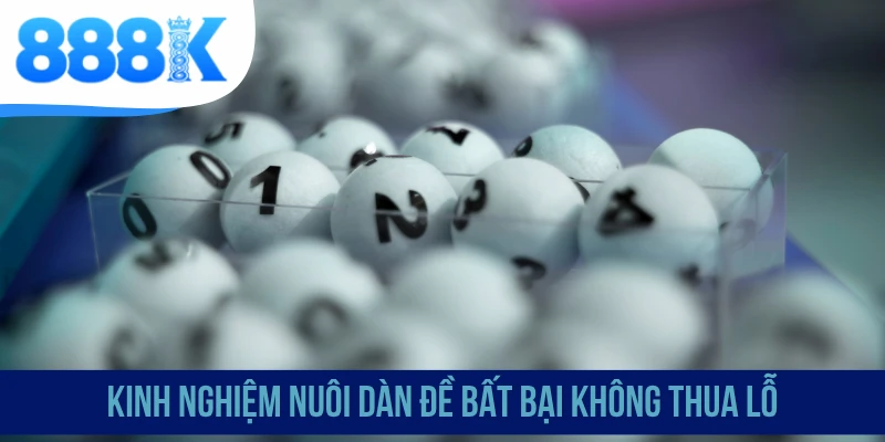 Kinh nghiệm nuôi dàn đề bất bại không thua lỗ